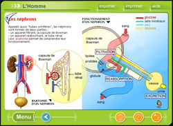 De nombreux sch�mas explicatifs